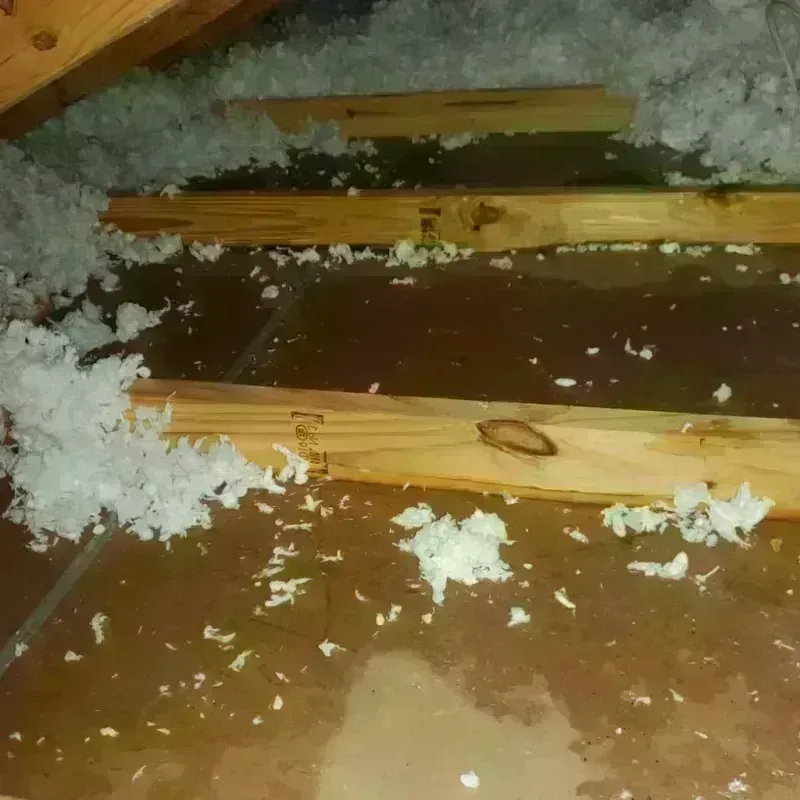 Attic Water Damage in Sulphur, LA